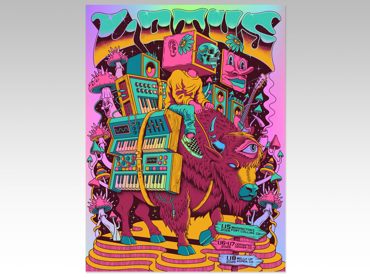 Bison Poster January Colorado FOIL