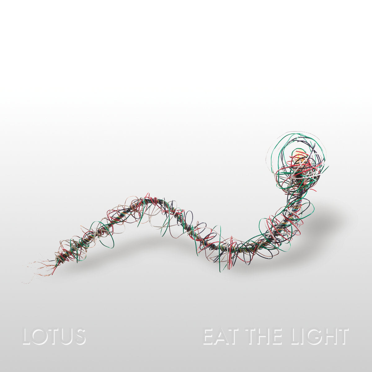 Eat the Light vinyl